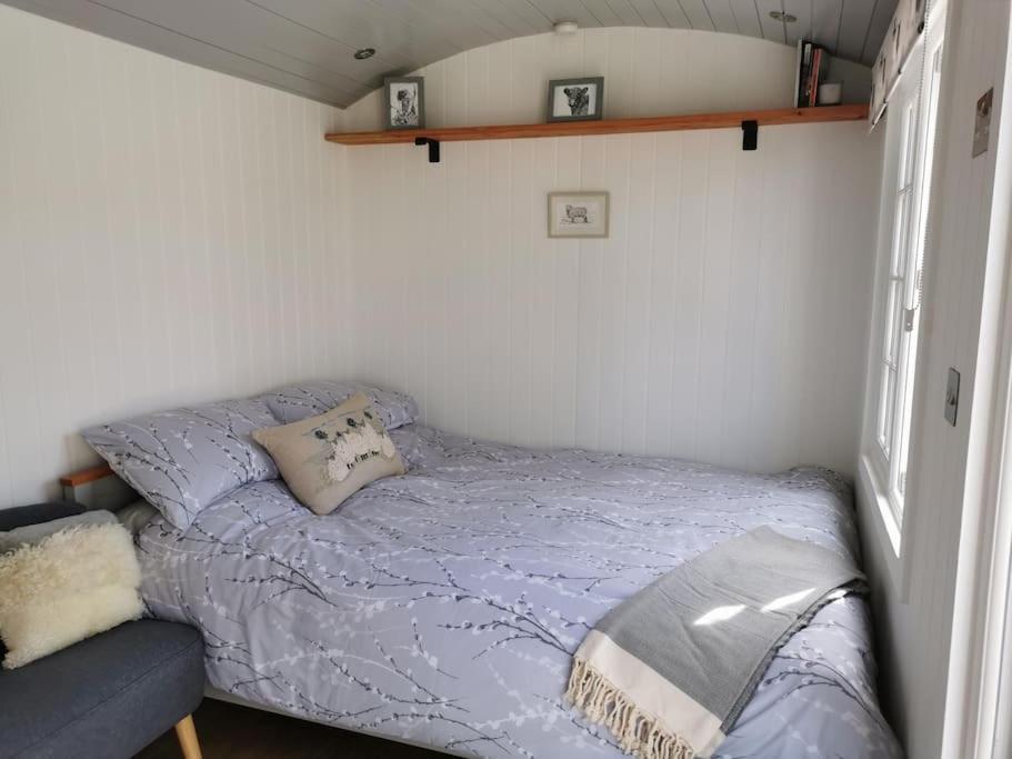 Villa Elvan Farm Shepherd'S Hut Exeter Exterior foto