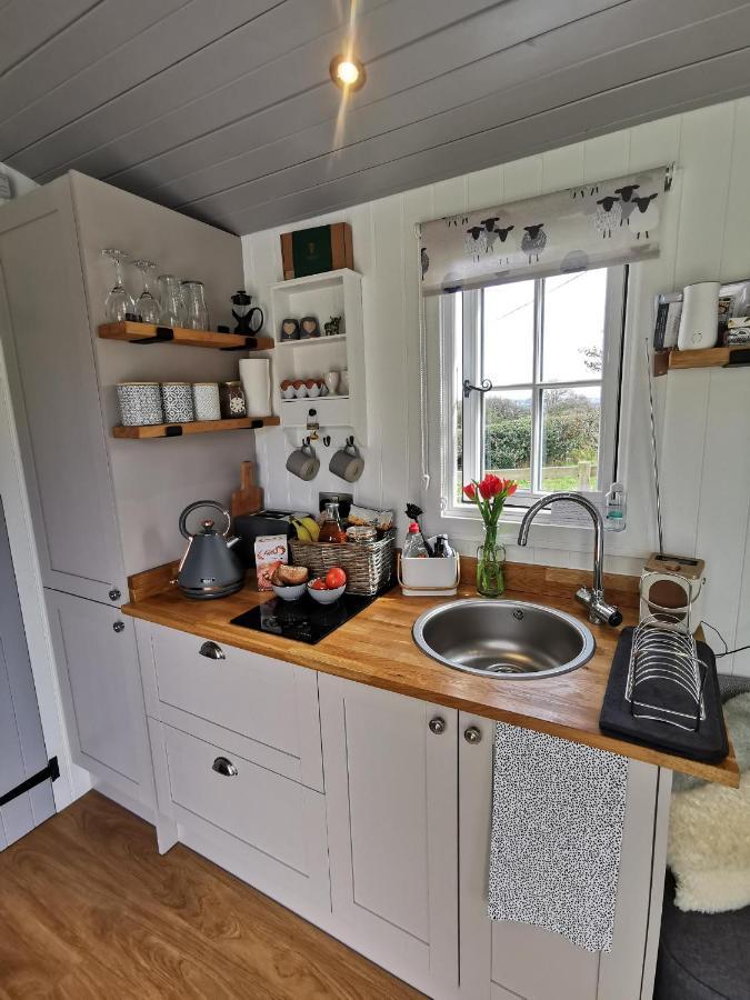 Villa Elvan Farm Shepherd'S Hut Exeter Exterior foto