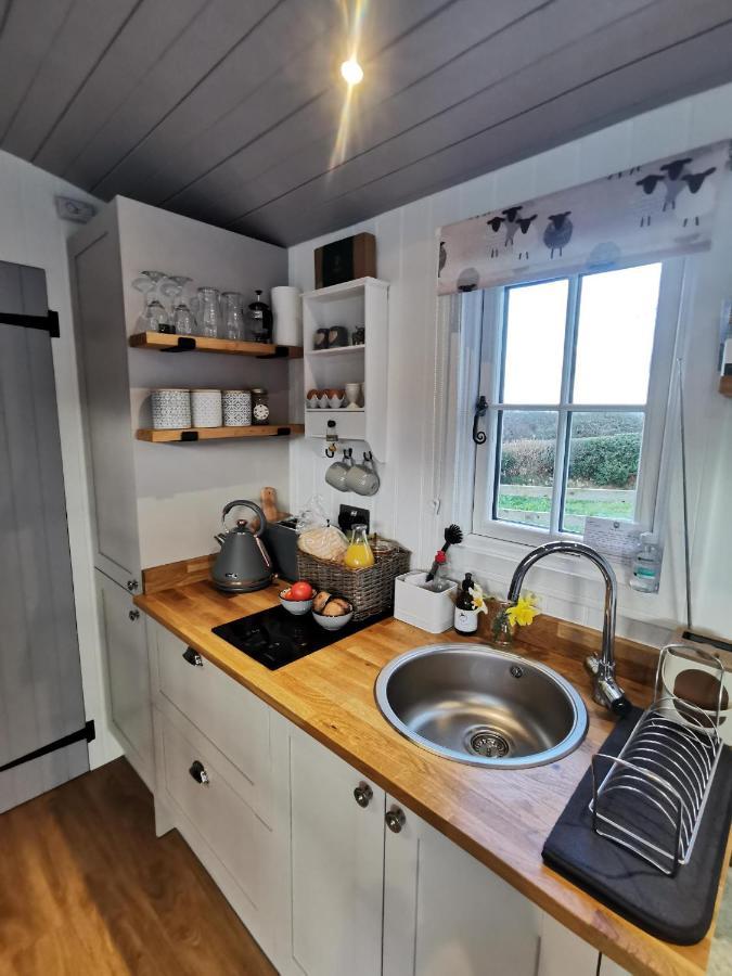 Villa Elvan Farm Shepherd'S Hut Exeter Exterior foto