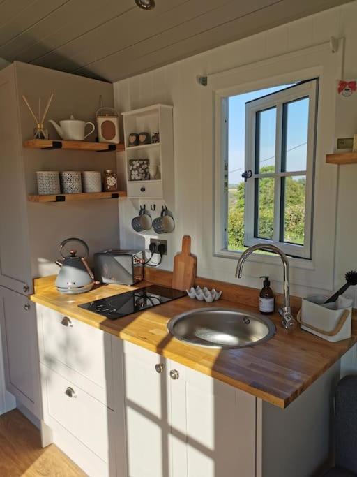 Villa Elvan Farm Shepherd'S Hut Exeter Exterior foto
