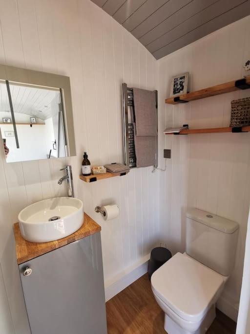 Villa Elvan Farm Shepherd'S Hut Exeter Exterior foto